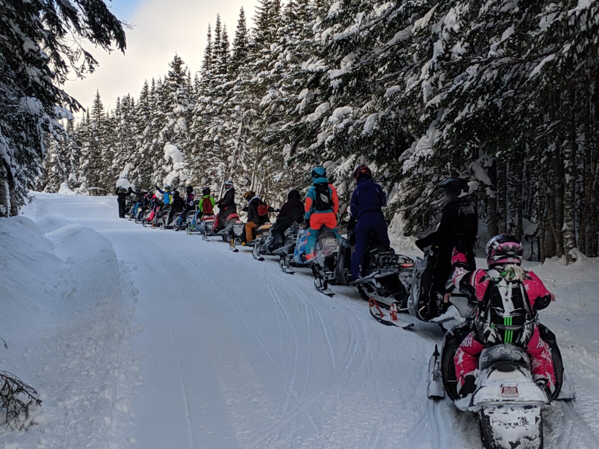 Sled Rental Western Newfoundland