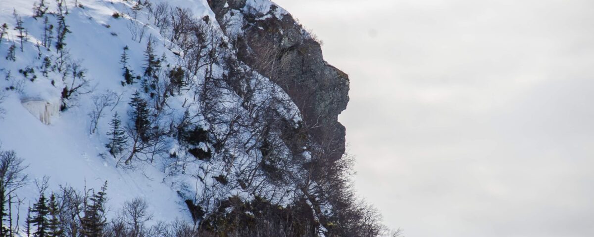 Stone Lion - Western Newfoundland