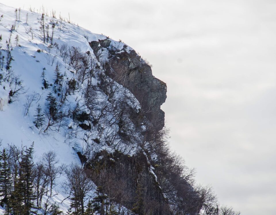 Stone Lion - Western Newfoundland