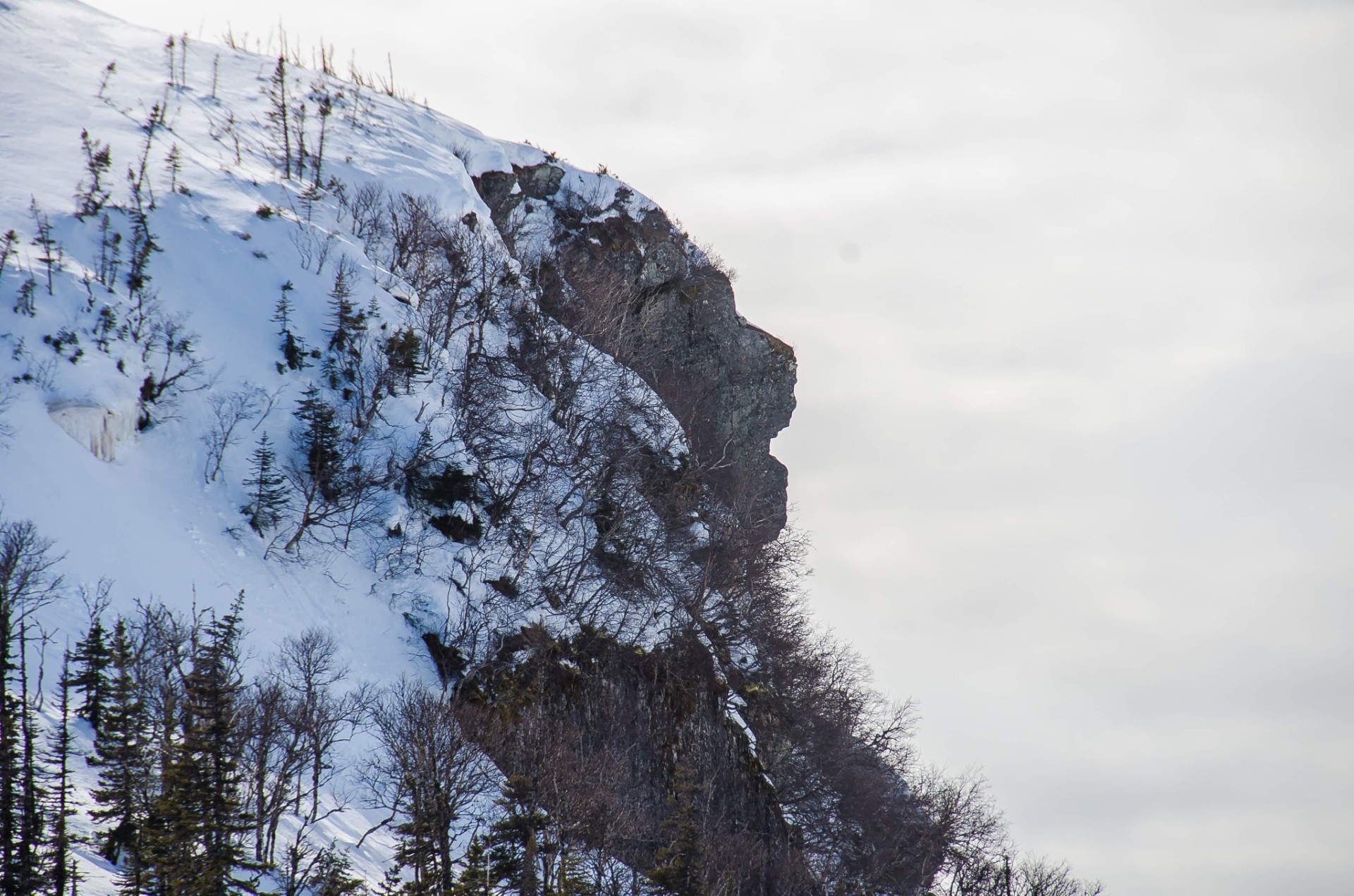 Stone Lion - Western Newfoundland