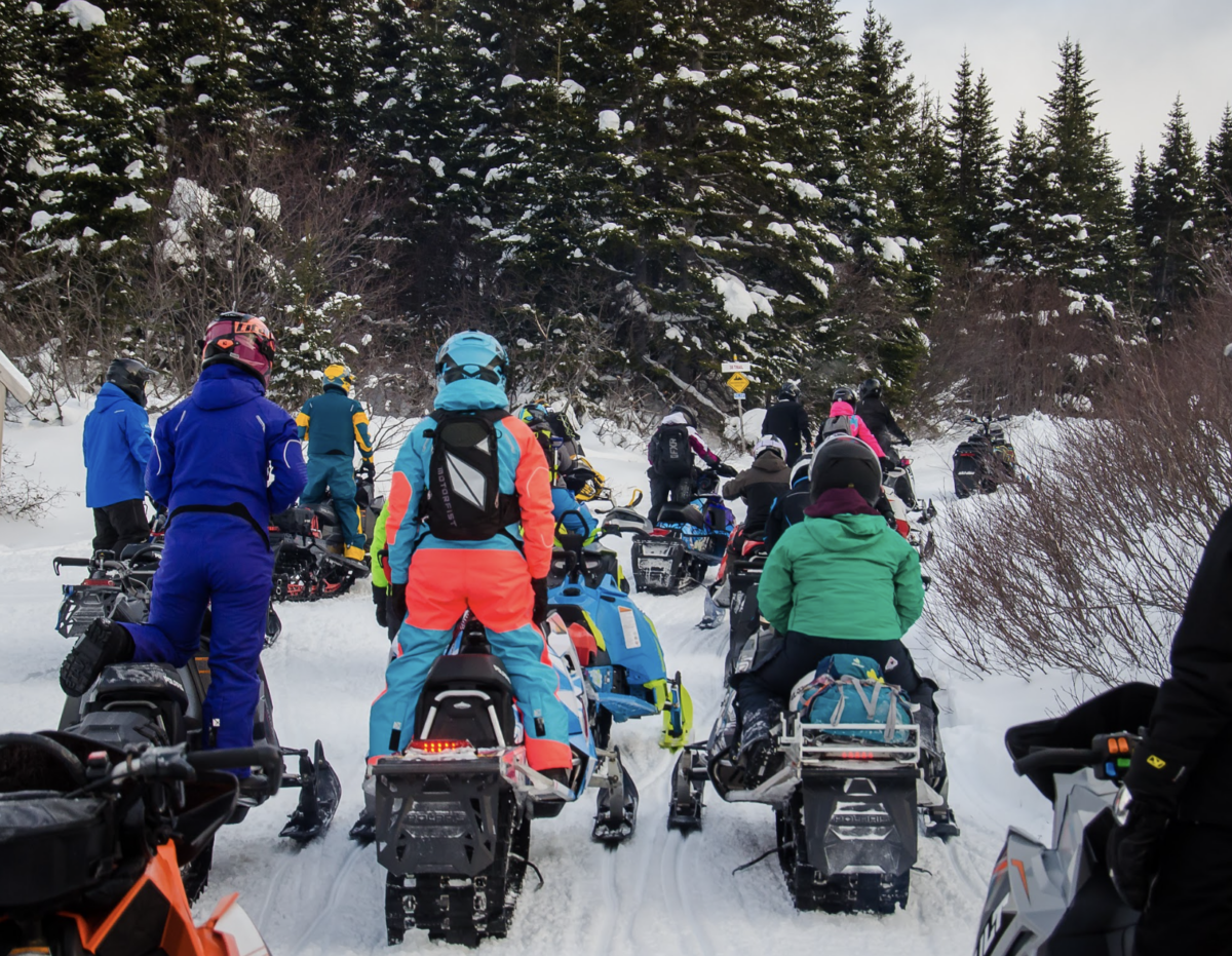 Arluk Backcountry Newfoundland
